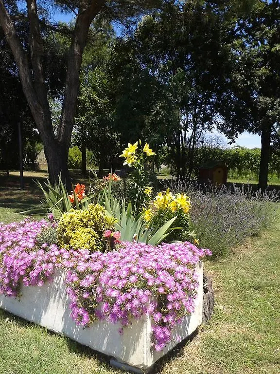 Valle Rillo Agriturismo Villa Comacchio Italy