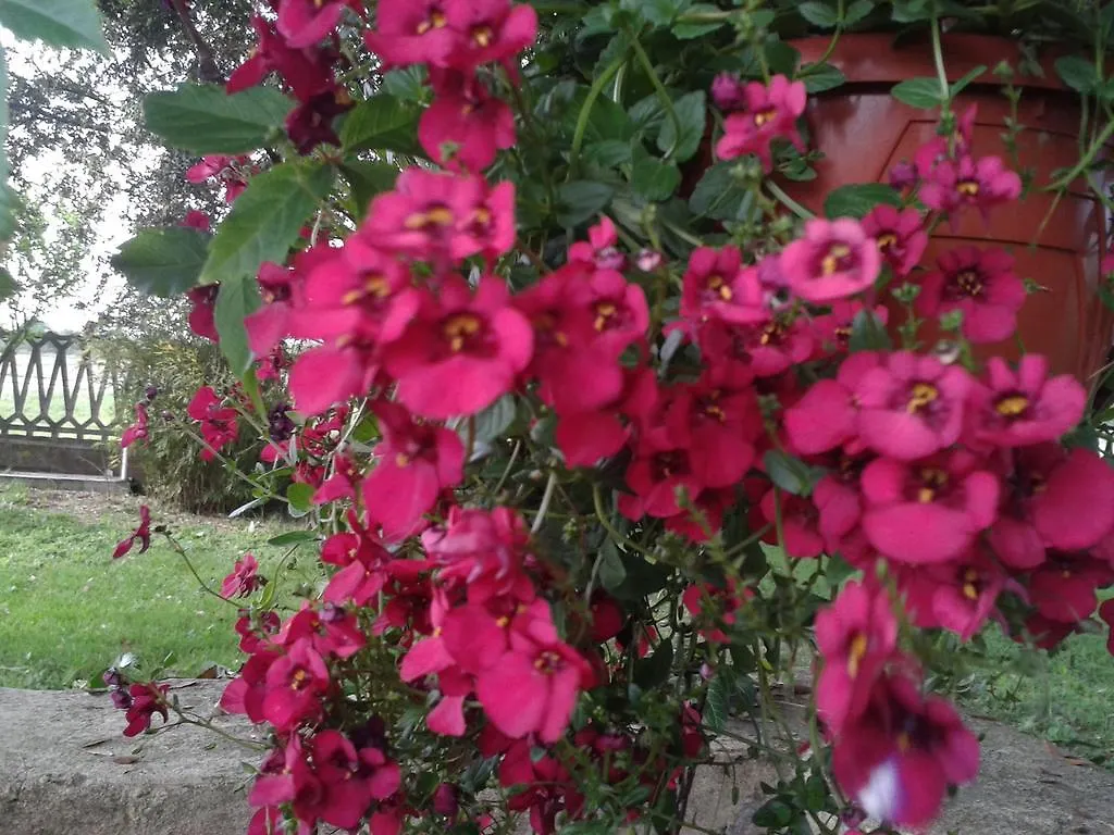 Valle Rillo Agriturismo Villa Comacchio Farm stay