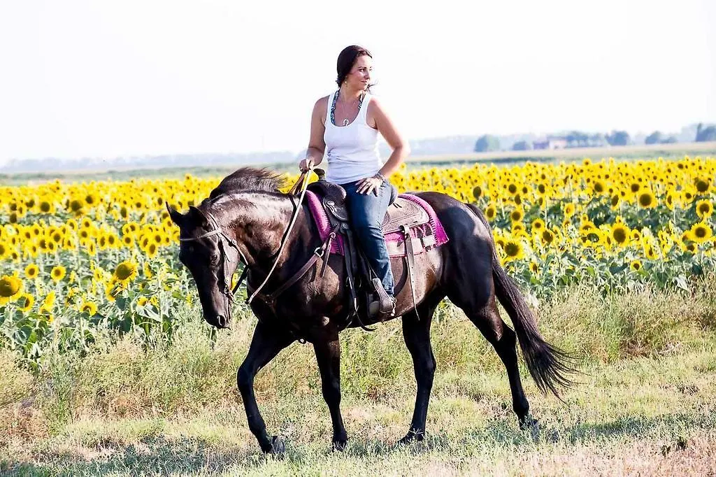 Farm stay Valle Rillo Agriturismo Villa Comacchio Italy